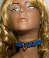 SR-C0135_Blue and Gold