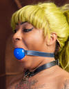 Sugar Holiday with Halter Collar