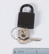 Decorative Black Lock