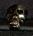 TPP_conchos_Skull Head